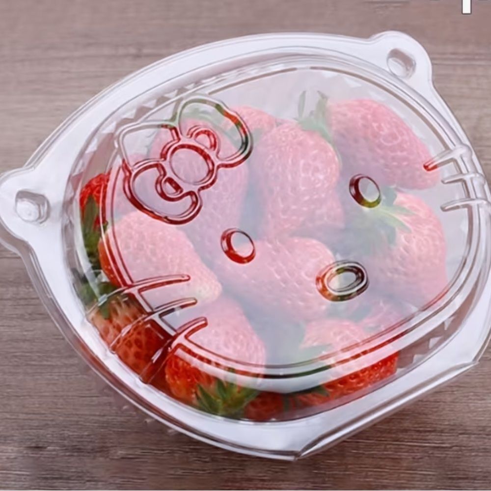 Hello Kitty Plastic Reusable/Disposable Food Storage Containers 20 Pack